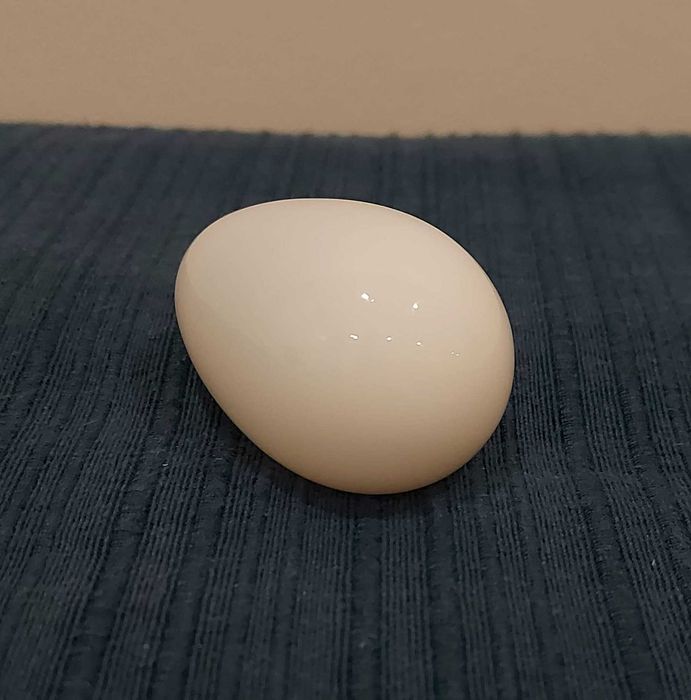 Ovo em vidro [antiguidade]