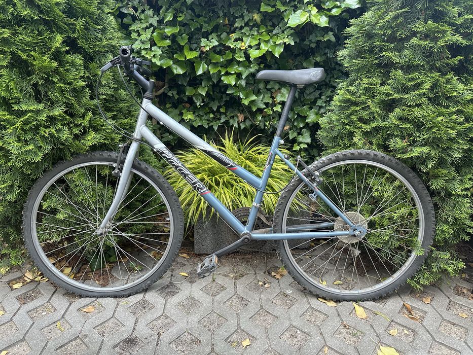 Szary rower górski Classic Tiger – do serwisu
