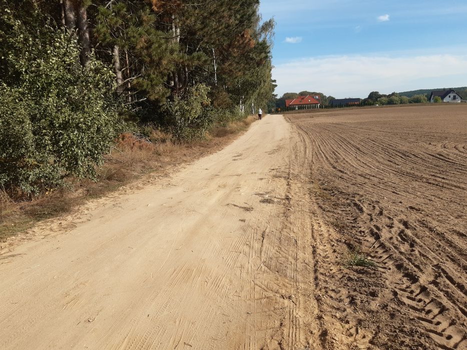 Sprzedam działki Pszczew