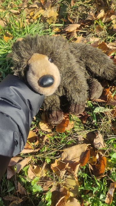 Douglas cuddle toys обмін рідкісна
