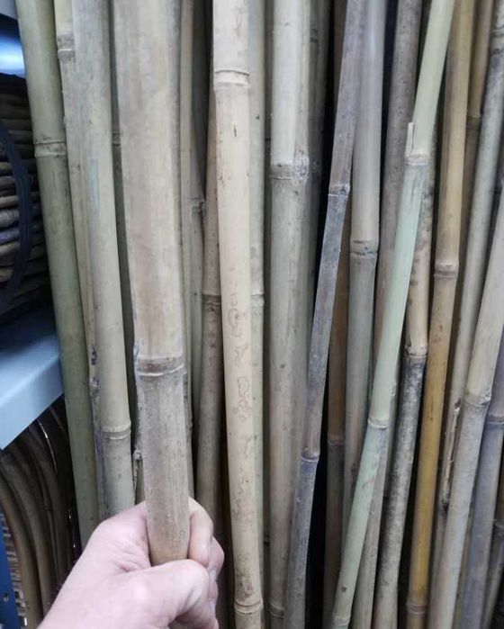 Tyczki drabinki podpory BAMBUSOWE TYCZKA DRABNKA PODPORA bambus