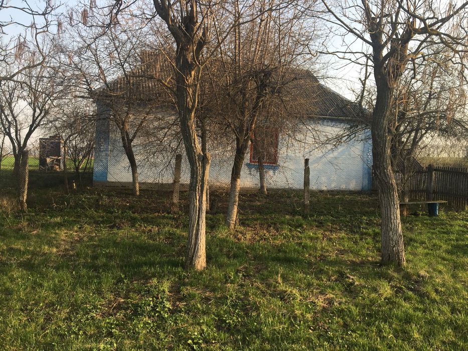 Будинок в черкаській області