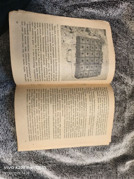 Produkcja rozsady warzyw w doniczkach - T. SkąPski