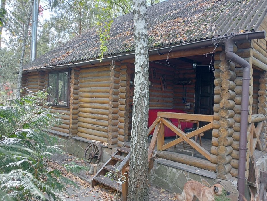 Оренда подобово заміський будинок зі зрубу баня