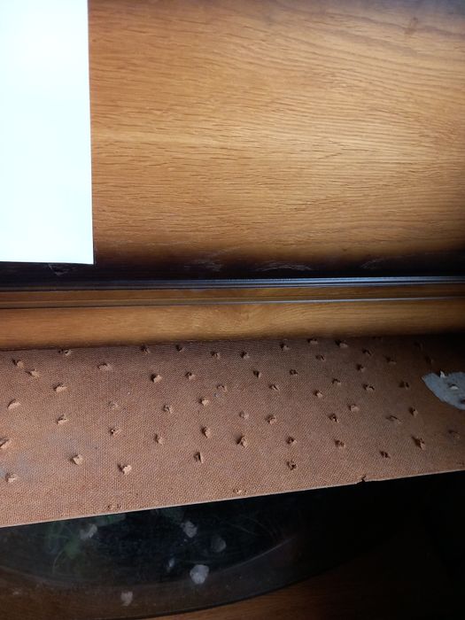 Terrarium duże z wyposażeniem lub akwarium