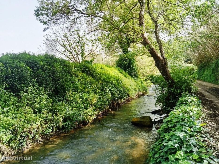 Terreno Agrícola em Ótima Localização com 3500 m2 Junto à Praia Ribeir