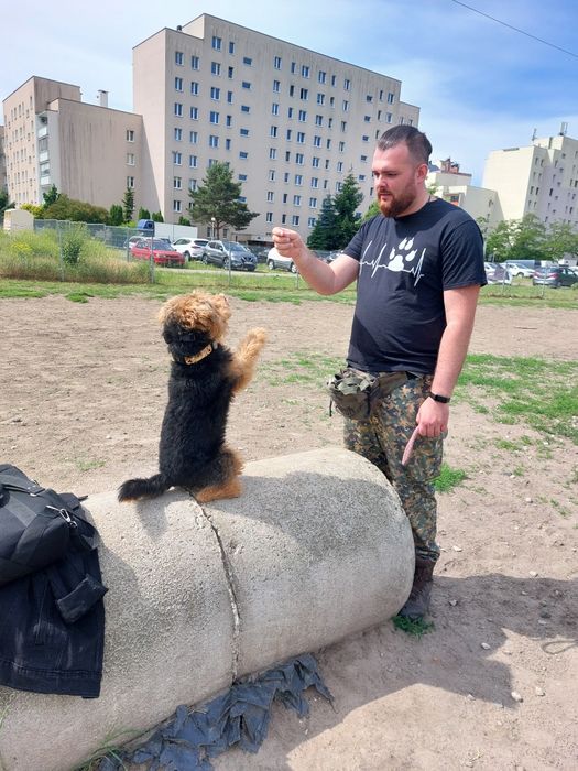 Behawiorysta psów | Szkolenie psów | Korekta psa agresywnego