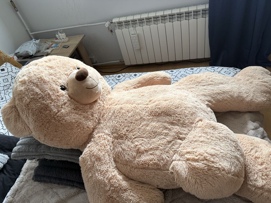 Miś olbrzym pluszowa zabawka