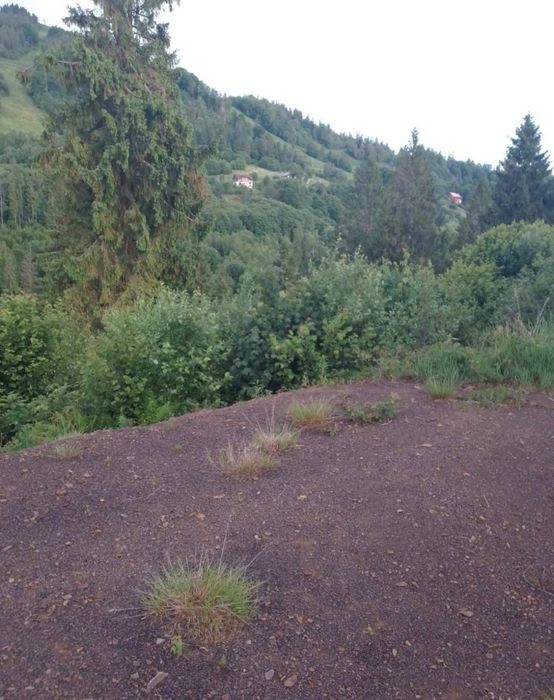 Продаж земельної ділянки подробиці за номером телефону можливий торг