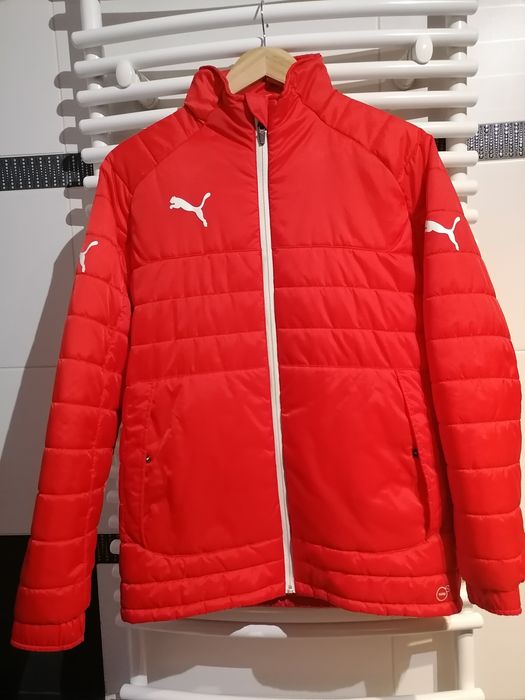 Chłopięca kurtka przejściowa