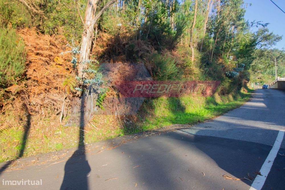 Terreno Florestal em Parada de Gatim, Vila Verde!