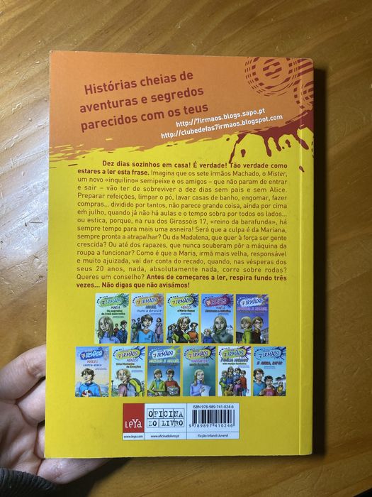 Livro da Coleção 7 irmãos