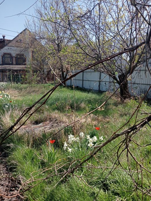 Продам дачу с/т " Стіновик" Байкальська, Дніпро