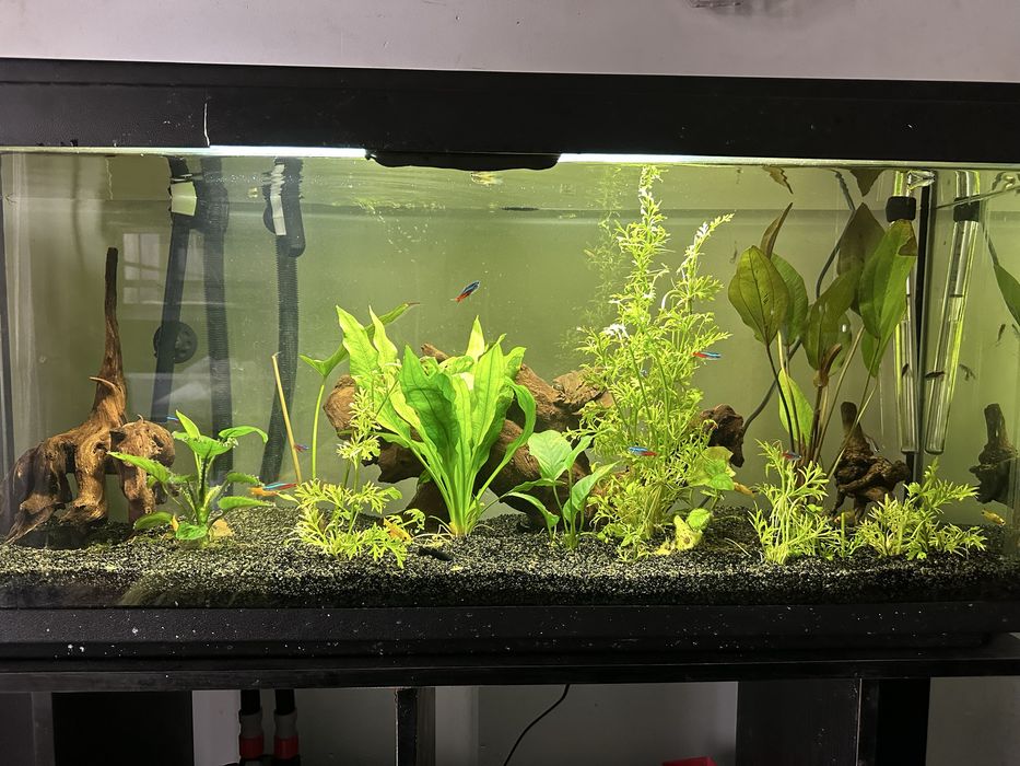 Vendo aquario ou troco