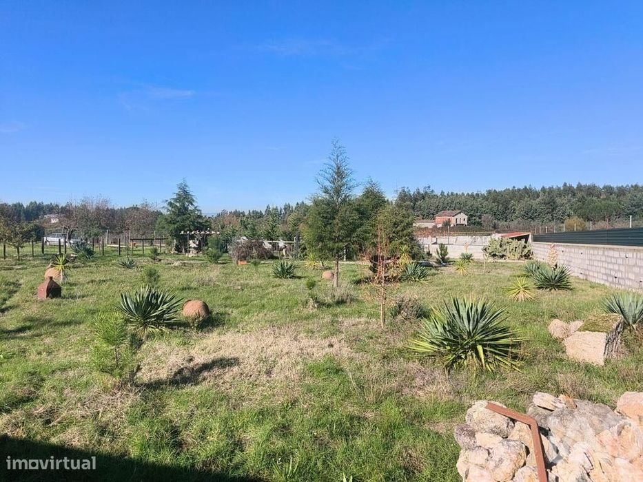 Terreno em Ervedal e Vila Franca da Beira