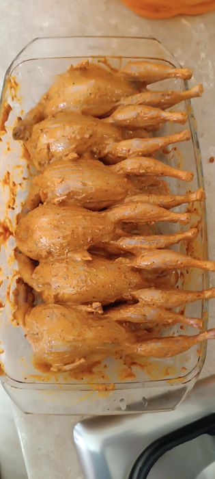 Своя Перепілка,добові,підрощі, сім'я,мясо