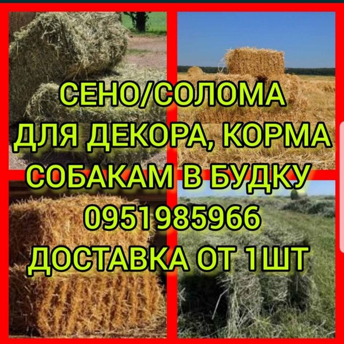 ‼️Сено в тюках мешках с доставкой, сіно овсяное и др в корм, декор‼️