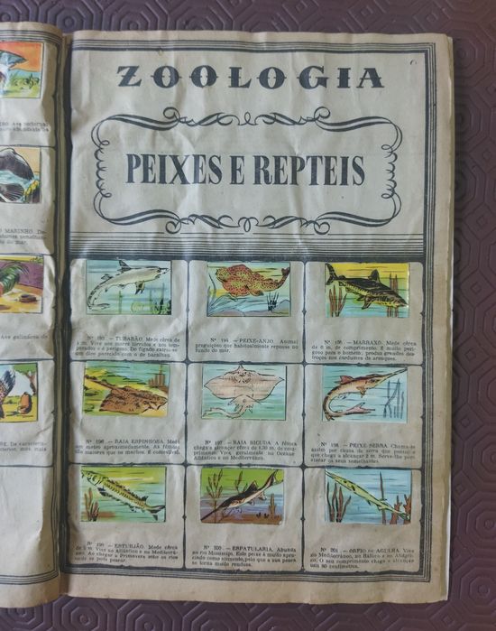 Álbum de Zoologia