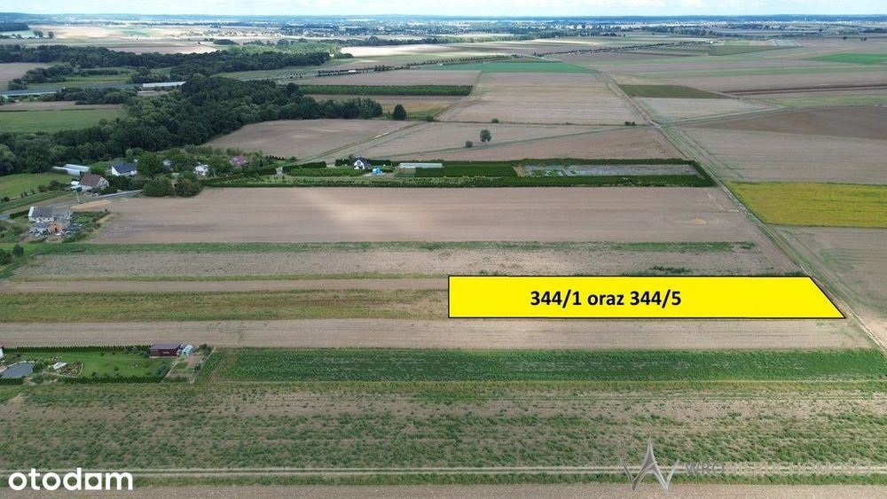 Działki 1,3550 HA oraz dom  i budynki gospodarcze - Widok 3