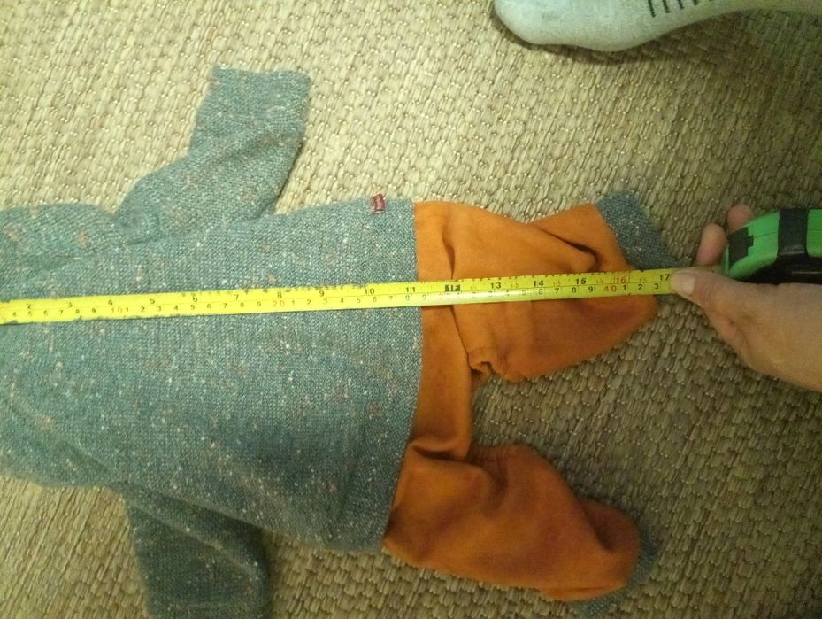 Костюм на собаку