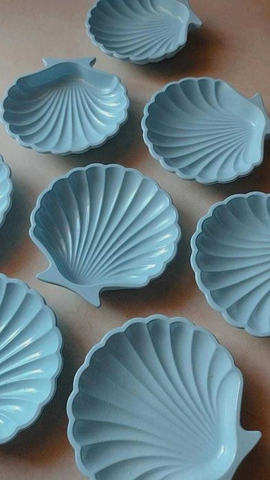 Concha jóias/decorativa