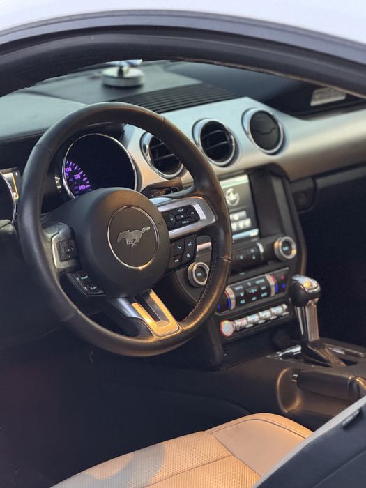 Ford Mustand / 2.3 Turbo