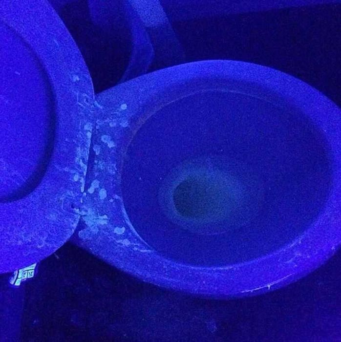 Lanterna UV - Detetor de manchas de urina - Pilhas incluídas