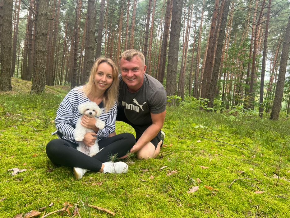 Вʼязка мальтезе , болонка, шукаємо дівчинку.