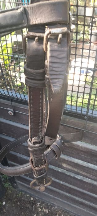 Uzda z prawdziwej skóry, zaprzęg, bryczka