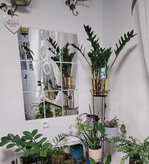 Zestaw 9 szt. luster ściennych naklejane lustro ścienne dekoracja