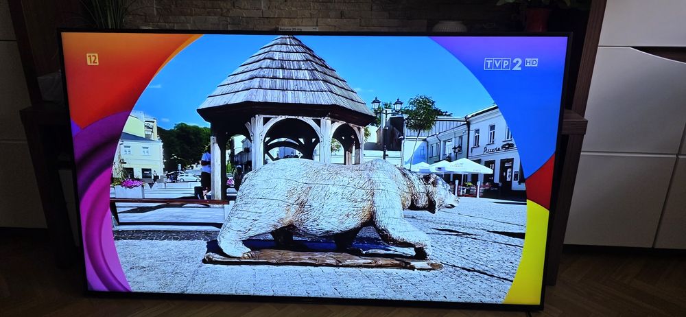Telewizor Sony Bravia 55cali