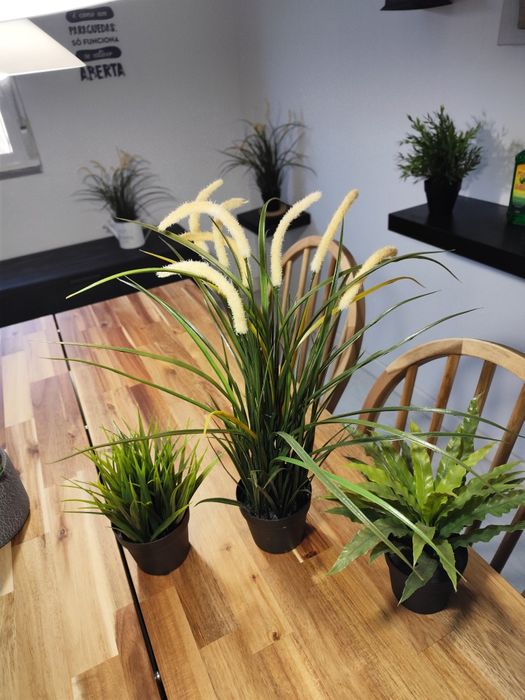 Conjunto 3 plantas artificiais novas