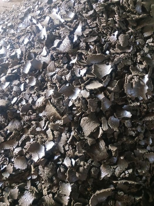 Макух соняшниковий