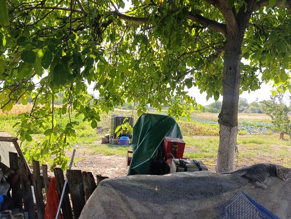 Продам дом село Варваровка