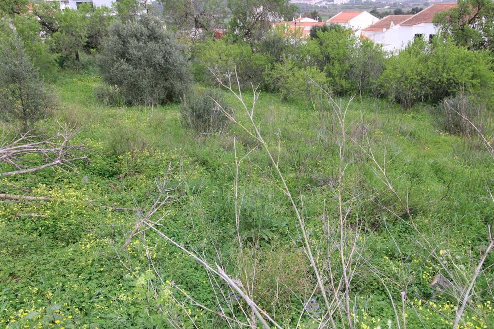 Terrenos Urbanos nas Portelas
