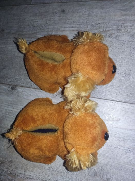 Nowe kapciuszki pieski