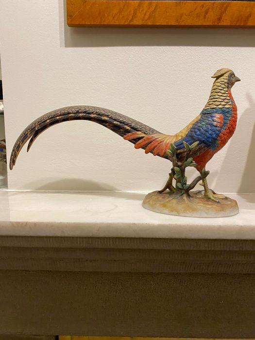 Faisão Vista Alegre