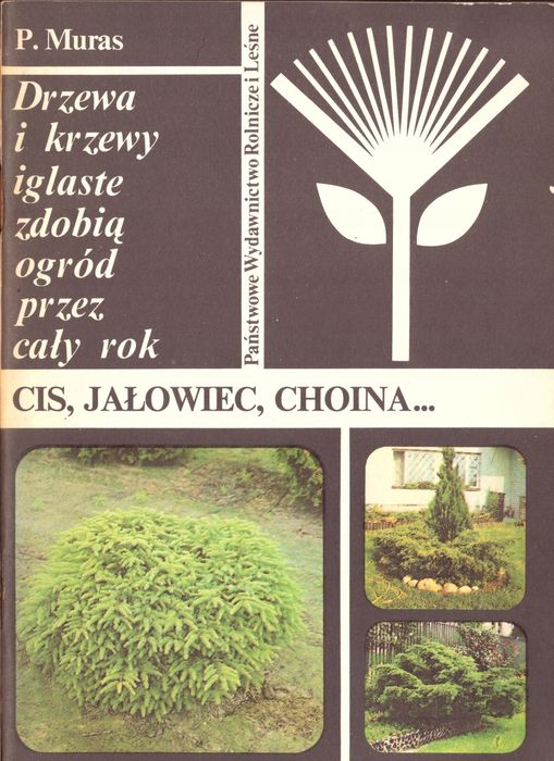 Cis Jałowiec Choina Muras