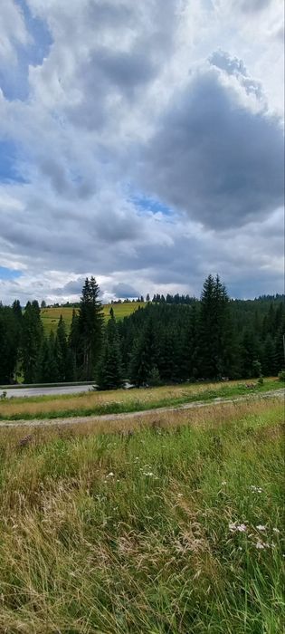 Відпочинок в Карпатах котедж