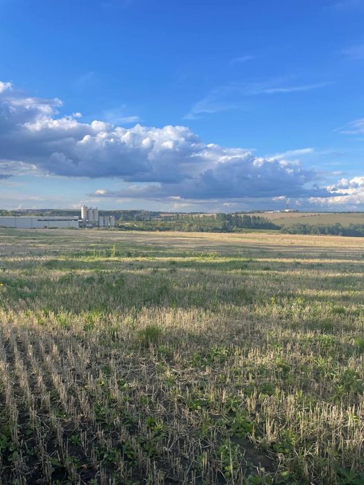 Оренда земельної ділянки