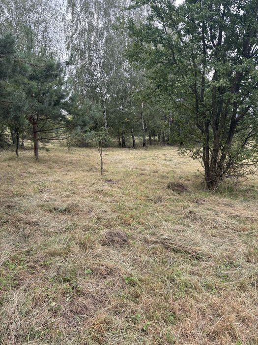 Prace ogrodowe Koszenie Wertykulacja Nawożenie Karczowanie