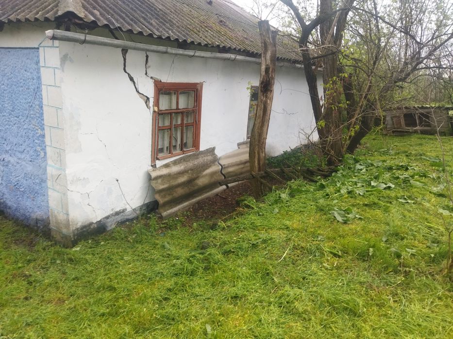 Продається будинок,місце для пасіки