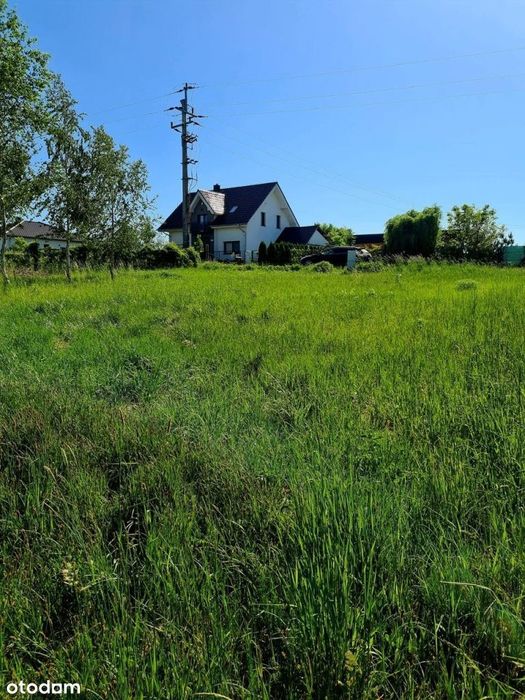 Boszkowo | 652 mkw | na wzgórzu - Widok 3