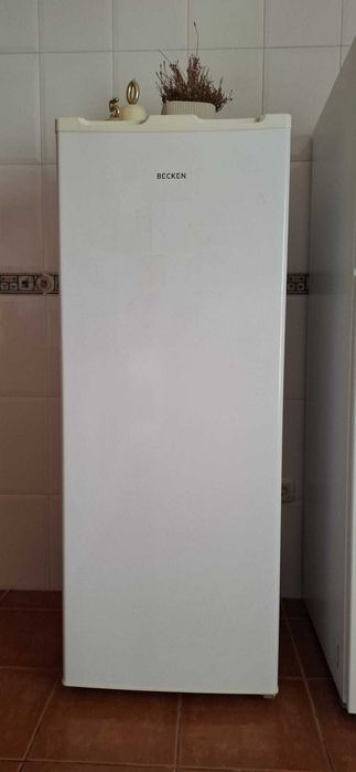 Arca firgorifica vertical becken