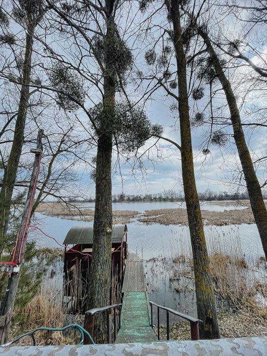 Сауна у Анастасії