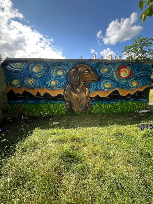 Graffiti/ malowanie artystyczne garaży,  altanek – oryginalna ozdoba!