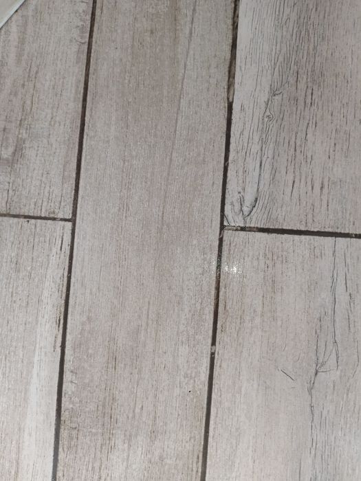 Пропоную клінінгові послуги