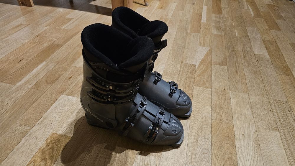 Buty narciarskie ALPINA