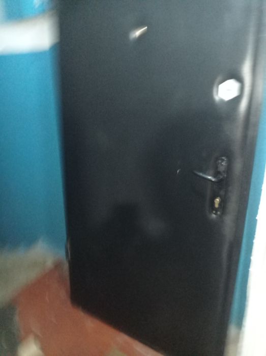 Двери входные металлические