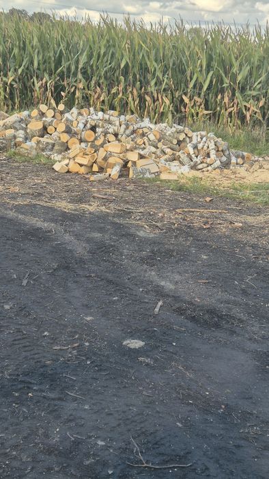 Sprzedaż Drewna opałowego.